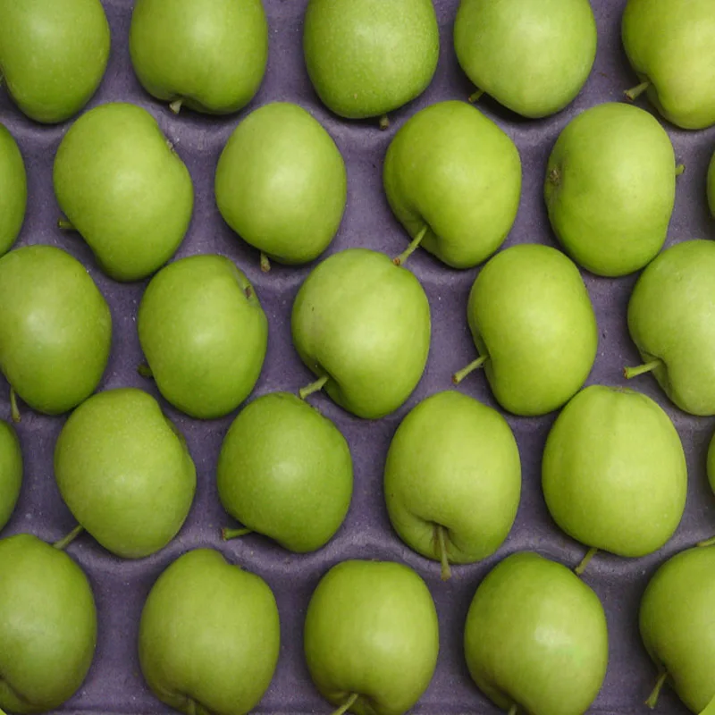 青リンゴの果物の名前 Buy グリーンアップル グリーンアップル果物 名青リンゴ果物 Product On Alibaba Com