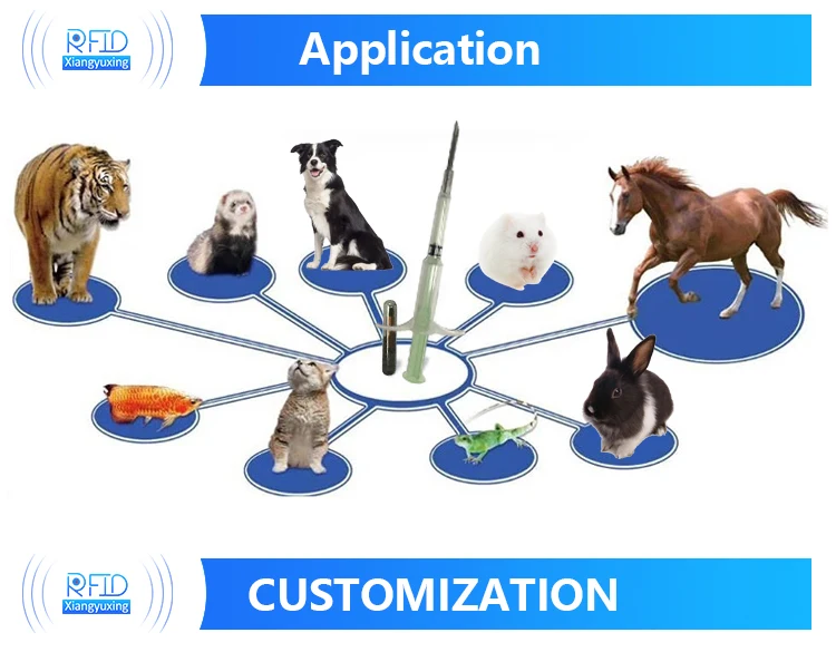 Universal Readable 134.2khz Em4305 Animal Pet Rfid Microchip For Dogs