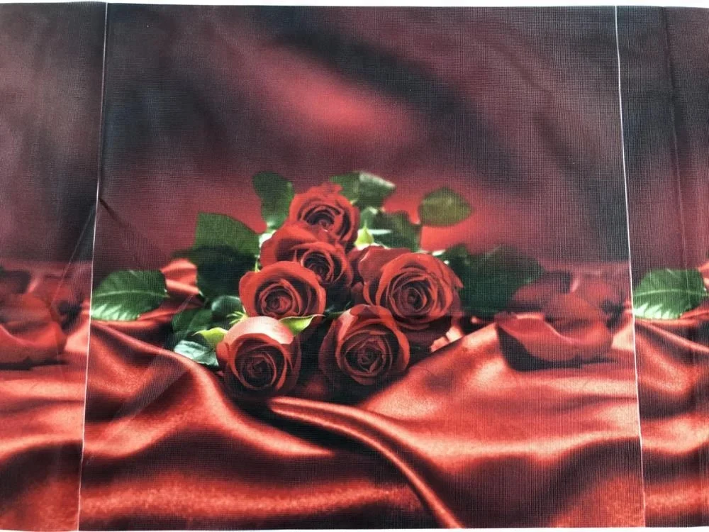 
100% полиэстер, трикотаж: 110gsm Sublimation баннер, флаг ткань 