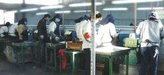 Ace Industrial(Ningbo) Co., Ltd. 3
