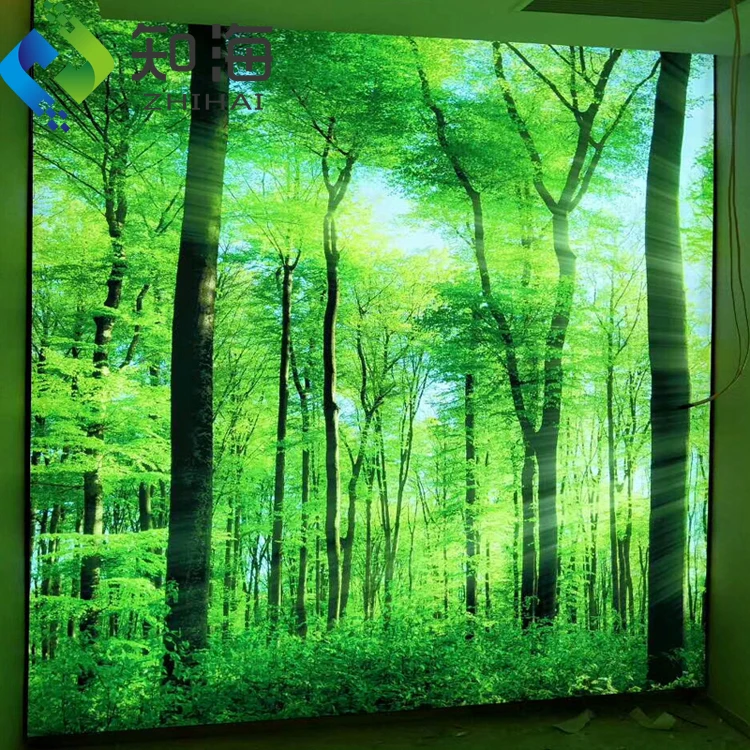 ZHIHAI Dimmable Light Box Rectangle Irregular Fireproof Lightweight Decorative Artistic Pvc 3d Ceiling Panel