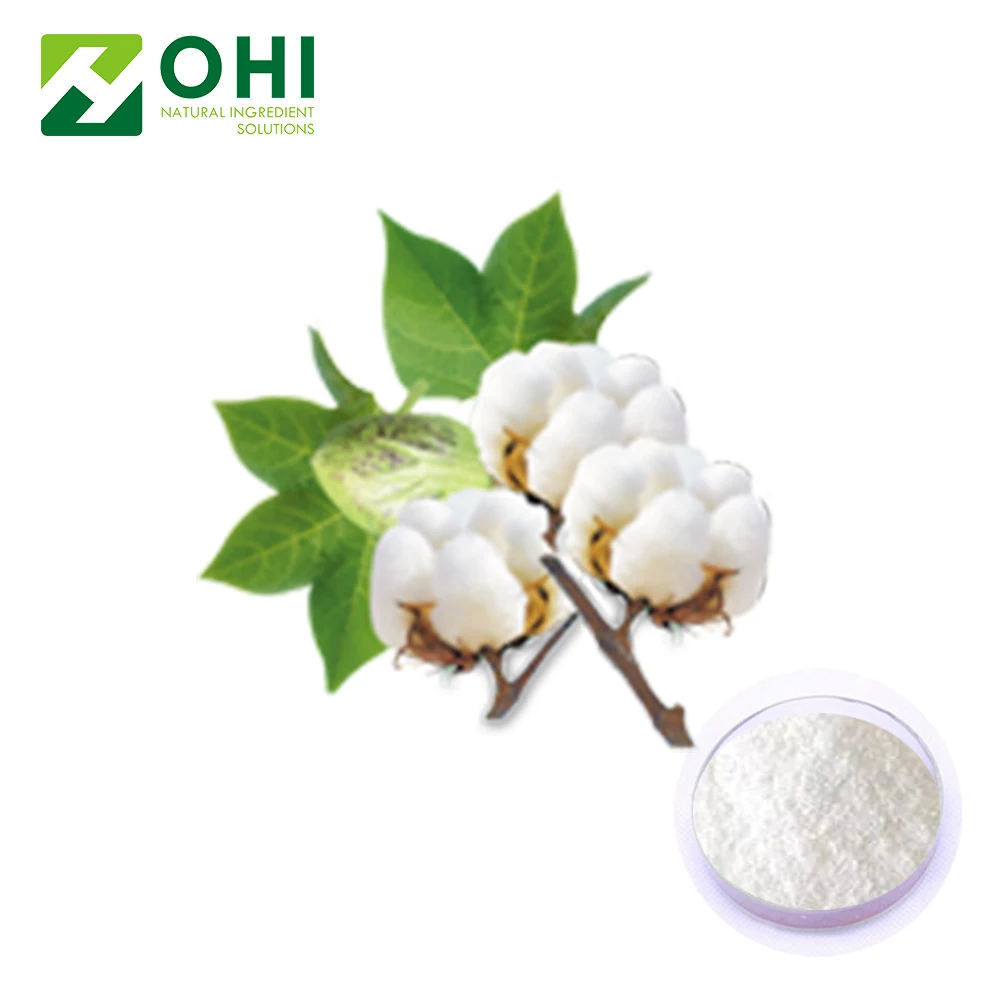 草药棉籽提取物-醋酸棉酚/醋酸棉酚90% ,98% 通过高效液相色谱 (hplc)
