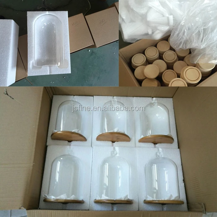glass domes 