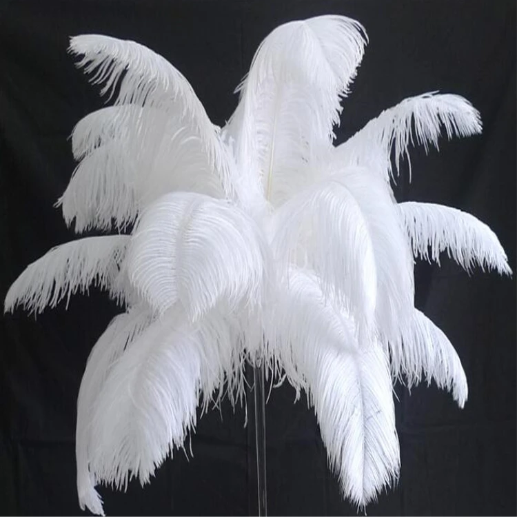 White feathers for sale Clearance