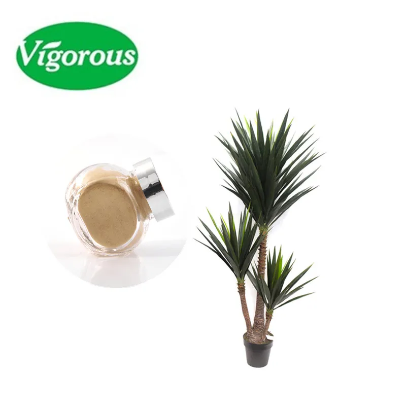 Юкка шидигера в кормах для животных. Порошок фукуса экстракт. Экстракт юкки шидигера. Экстракт юкки. Юкка шидигера в кормах для животных.