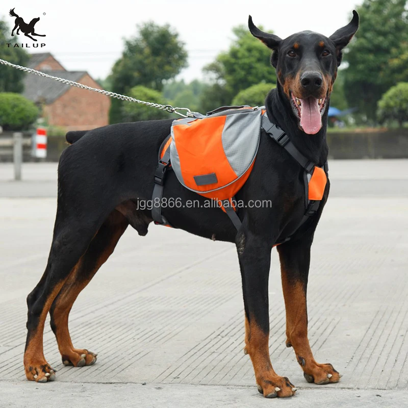 tail up dog carrier