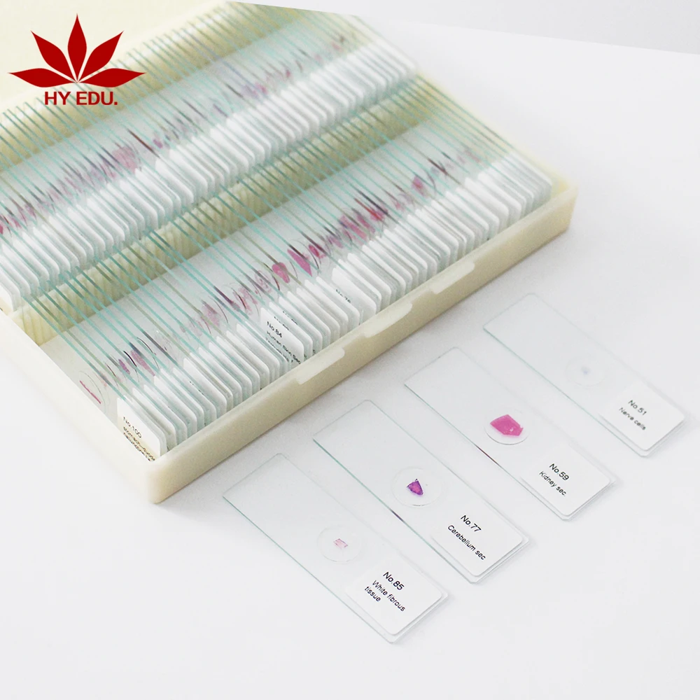 
 Лидер продаж, микроскоп для высокого образования, слайды, 100 видов гистологии человека  