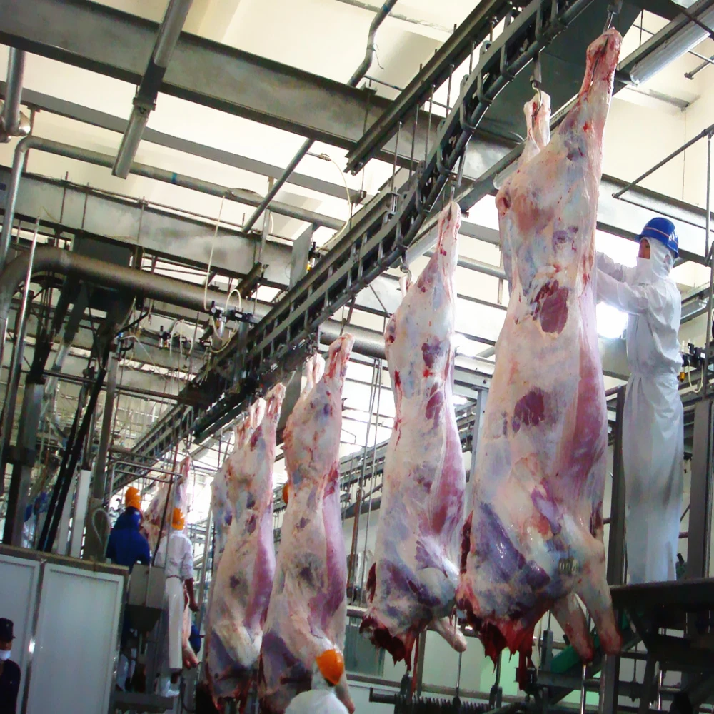 New livestock slaughtering machine halal slaughterhouse equipment for cattle slaughtering production line