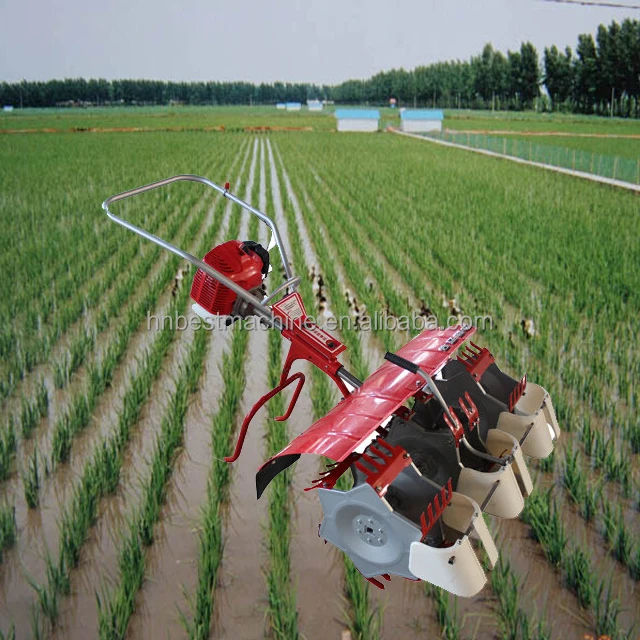 Gasoline Grass Cutter Machine in Philippine / Weeding Cutting Machine for Rice Field