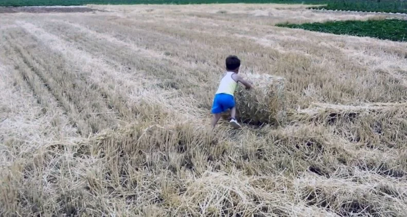 hay Bale Making Machine