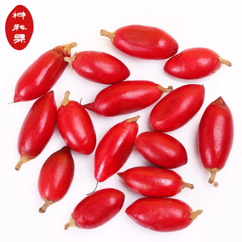 ミラクルフルーツ苗中国植物苗床植物 Buy Synsepalum Dulcificum フルーツ苗 高品質ミラクルフルーツ苗 安いミラクルフルーツ苗 Product On Alibaba Com