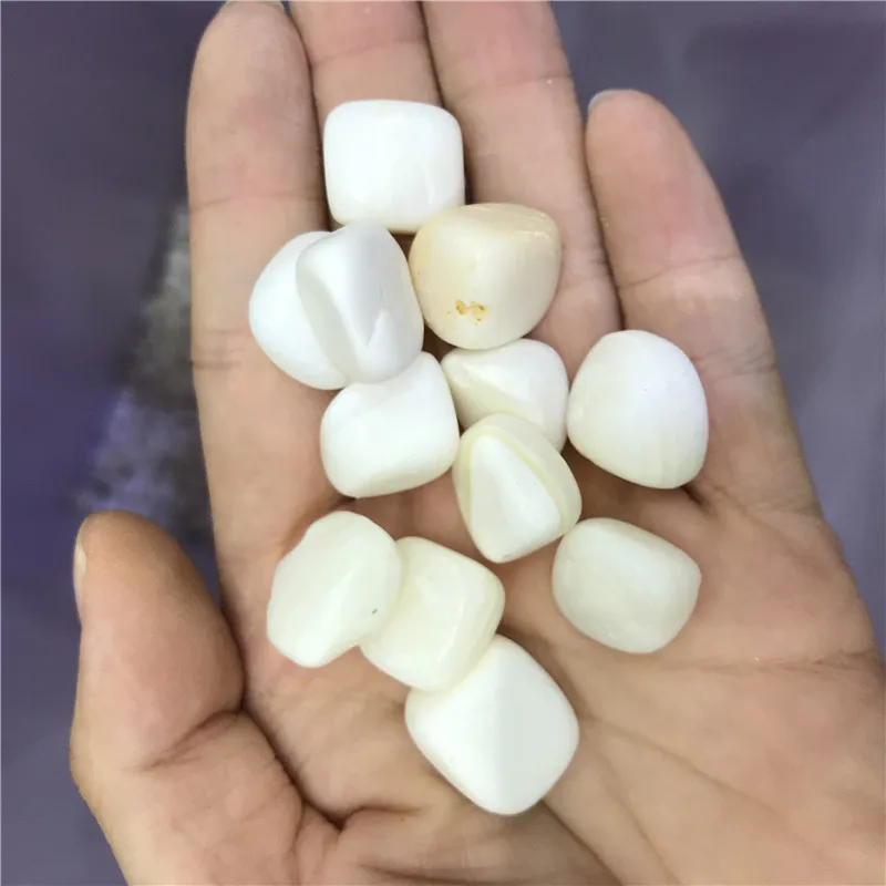 Natural White巨大ハマグリ砂利シャコガイ巨大クラムシェル研磨石販売のため Buy 巨大ハマグリ砂利 巨大クラムシェル 巨大貝砕石 Product On Alibaba Com