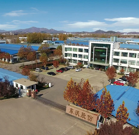 SHANDONG DONGWO CARPET CO., LTD.