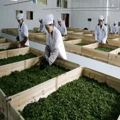 Changchun Jinsheng Zhuoyu Trading Co., Ltd. 2