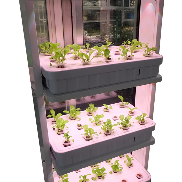System for indoor plant cultivation
