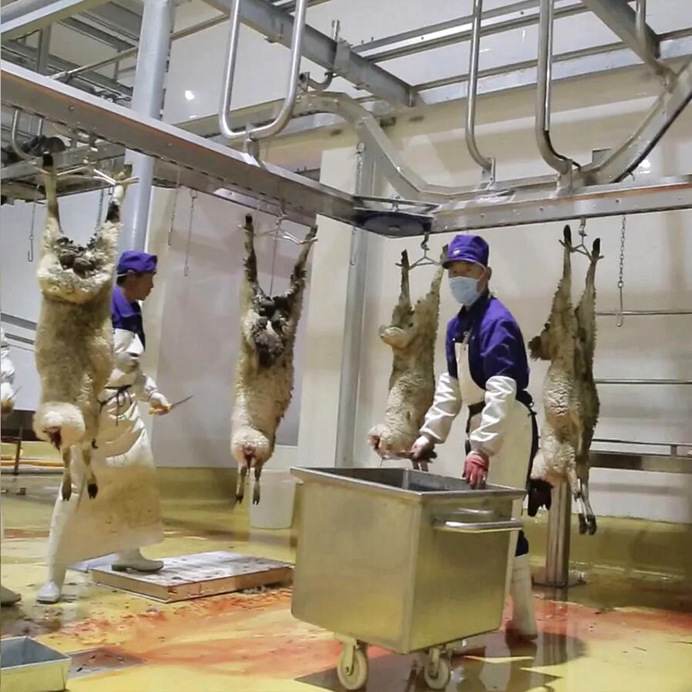 New complete halal sheep slaughtering production line equipment for goat lamb slaughtering plant machinery
