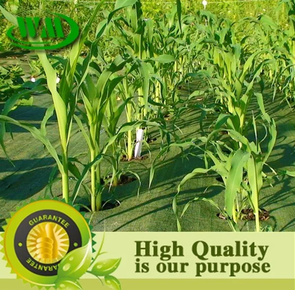 weed mat in agricultural plastic products 4