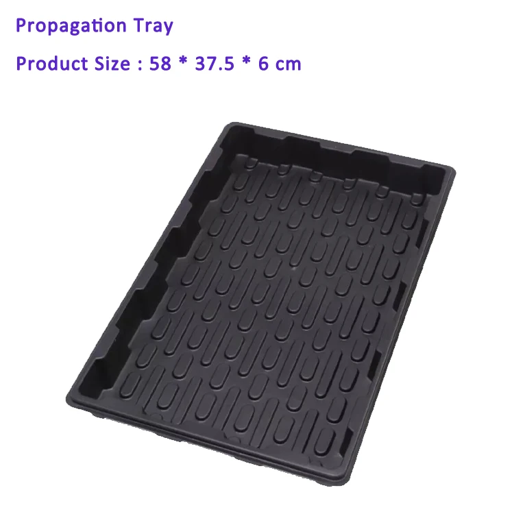 Mini Grow Kit 190121-2