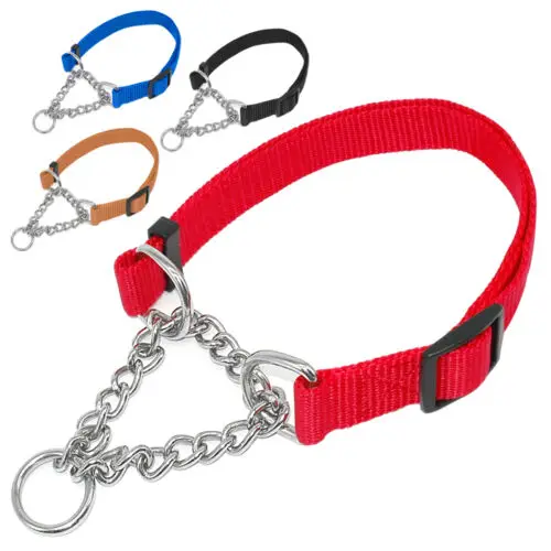 chain pet leash