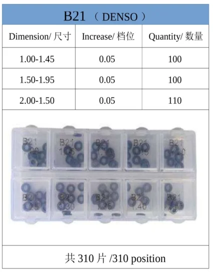 Common Rail Adjusting Shim B21 Adjusting Shim B21 and Common Rail Injector Repair Gasket B21