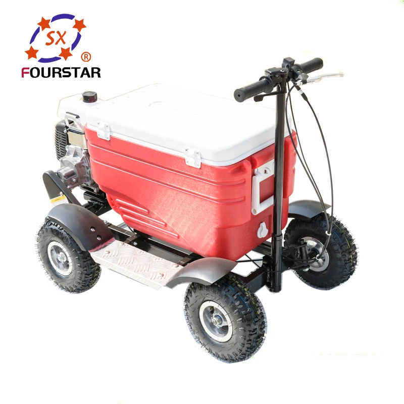 Professional Factory Outlet Gasoline Food Keeper Camping Using Motorized Cooler Scooter
