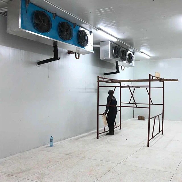 
 Небольшая морозильная камера, холодильная камера, морозильная камера для цыплят  