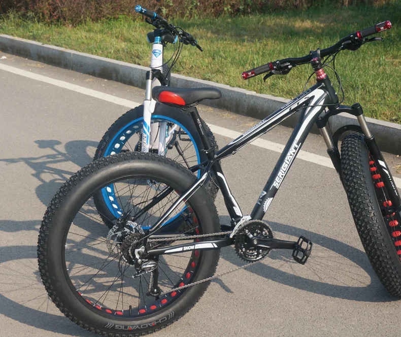 Russia Snow Bike Direct from Factory Fat Tire Mountain Bike