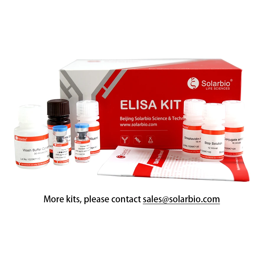 新作登場低価】 ヒトプラットレット内皮細胞接着分子1cd31エリザキット Buy Cd31 Elisa Kit Platelet  Endothelial Cell Adhesion Molecule 1,Endocam Elisa Kit,Peca1 Elisa Kit  Product