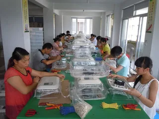 Guangzhou Yilaisi Import And Export Co., Ltd.
