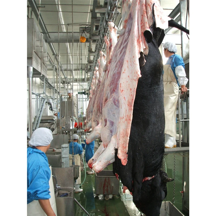 Halal slaughtering machinery camel meat slaughterhouse halal line