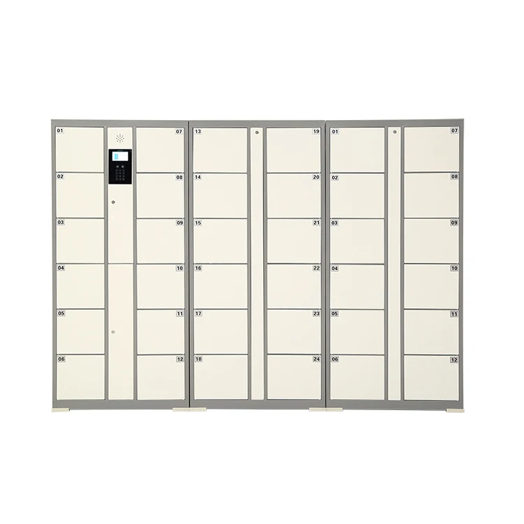 Storage Electronic Password Smart Locker in Good Quality with Competitive Price