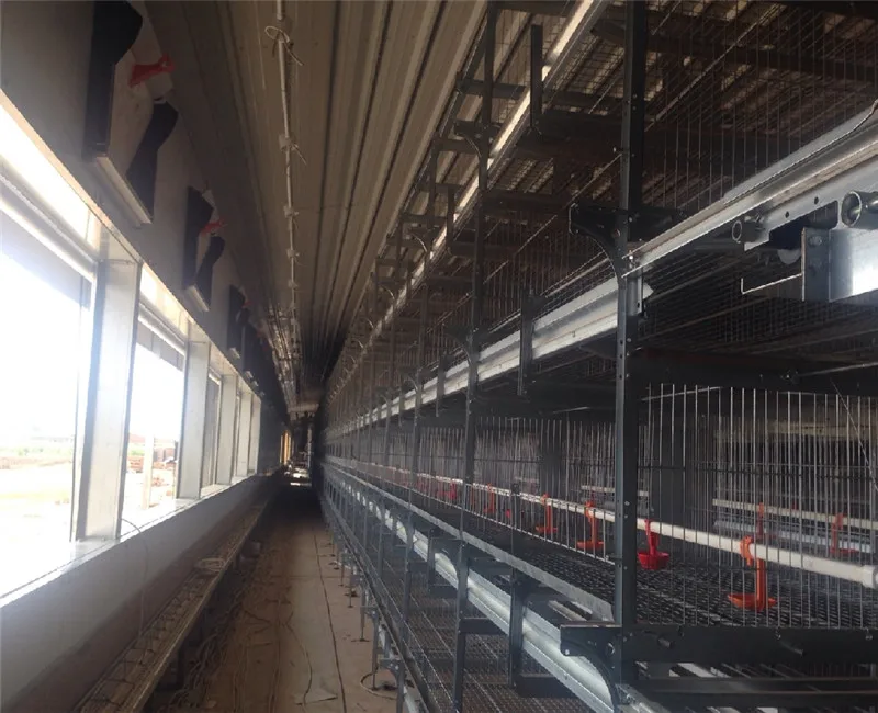 Insulated Steel Modular Buildings Cheap Prefab Chicken Farm Shed Turnkey Poultry Projects