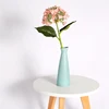 Pourpre