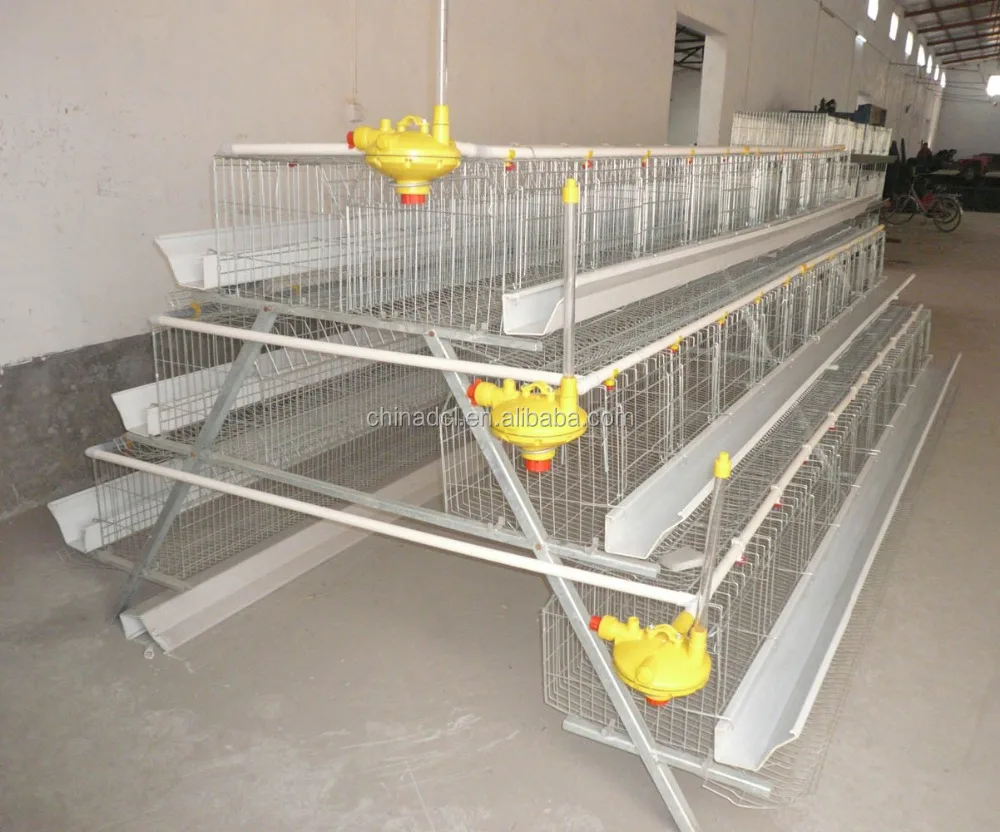 Download Chicken Egg Laying Equipment Chicken Egg Layer Cages Buy Poultry Cage Chicken Egg Layer Cages Chicken Egg Incubation Equipment Product On Alibaba Com