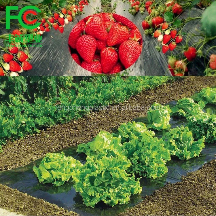 Factory Supply Plastic Mulch Layer for Plant ,agricultural Plastic Mulching Sheet,mulch Silver / Black for Sale Hot