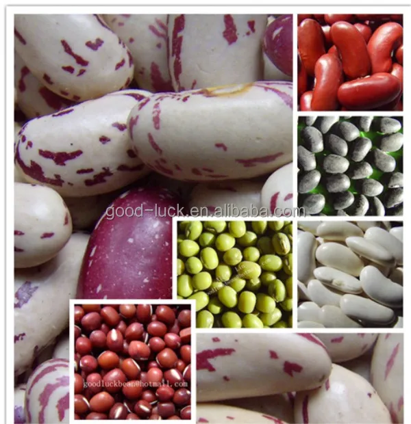 新しい作物すべての種類の豆 パルス Buy パルス 種類の豆 豆のすべての種類 Product On Alibaba Com