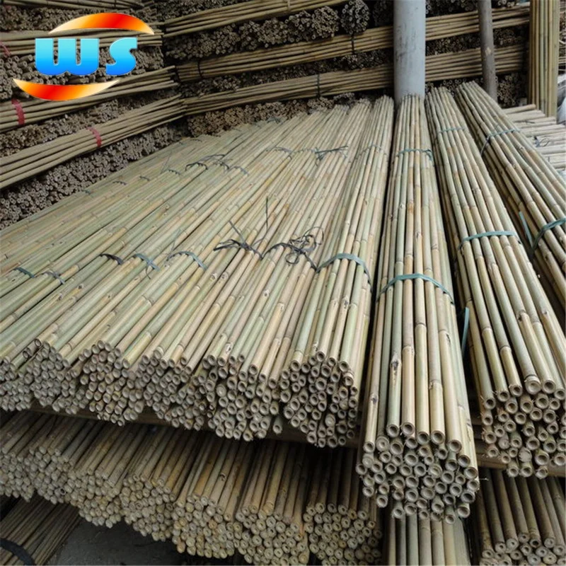 Домашний декор из бамбукового тростника бамбуковые трости для садовых растений