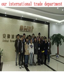 Anhui Bowei Electronics Technology Co., Ltd. 3