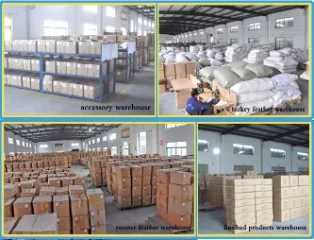 Cixi Horng Shya Feather Co., Ltd. 2