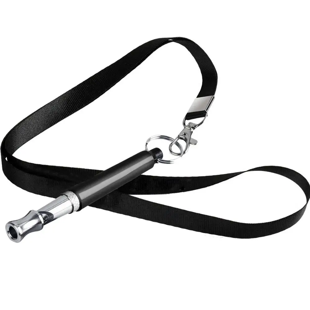 dog training lanyard