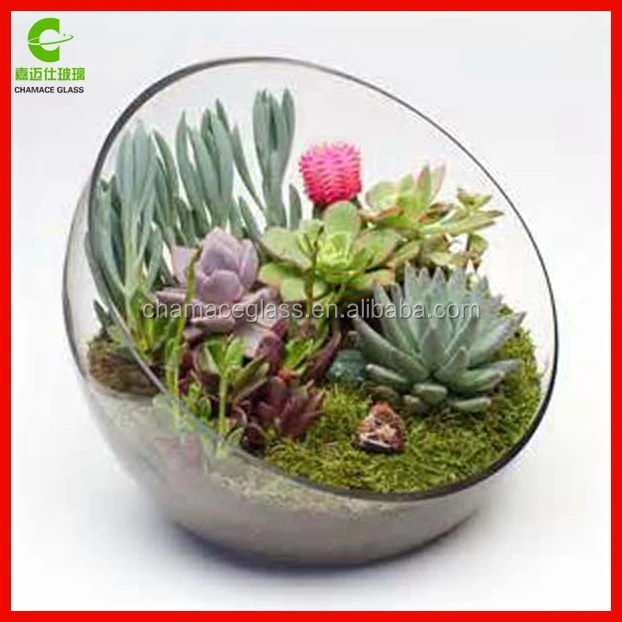 家の装飾サボテン多肉植物ガラス花瓶 ガラステラリウム Buy Glass Vase Cactus Succulent Glass Vase Cactus Succulent Glass Terrarium Product On Alibaba Com