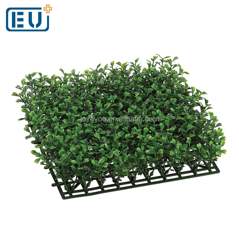 Artificial Boxwood Fence Cover Hedge Wall Fake Privacy Screen Plants Buy Artificial Boxwood Wall Fake Boxwood Plants Faux Boxwood Privacy Screen Product On Alibaba Com