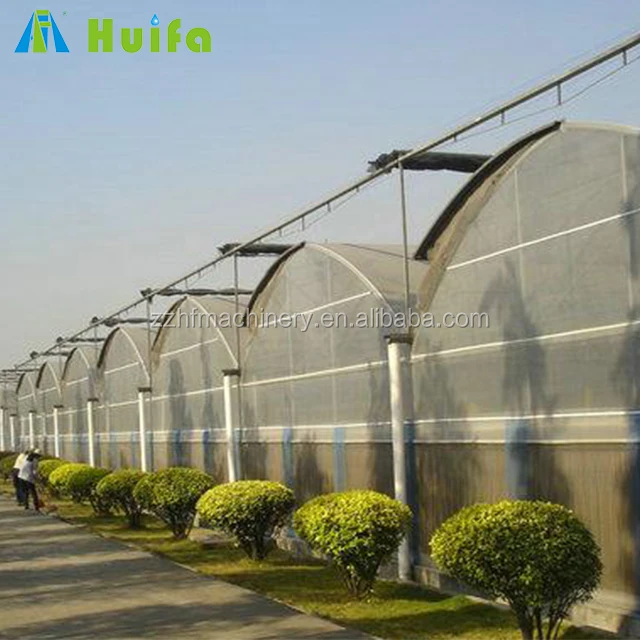 Factory Price Agriculture multi span plastic film covered greenhouse on sale