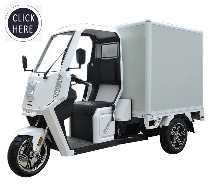 Small Delivery Passenger Cargo Electric Van Electric Pickup Truck Buy Electric Van,Cargo