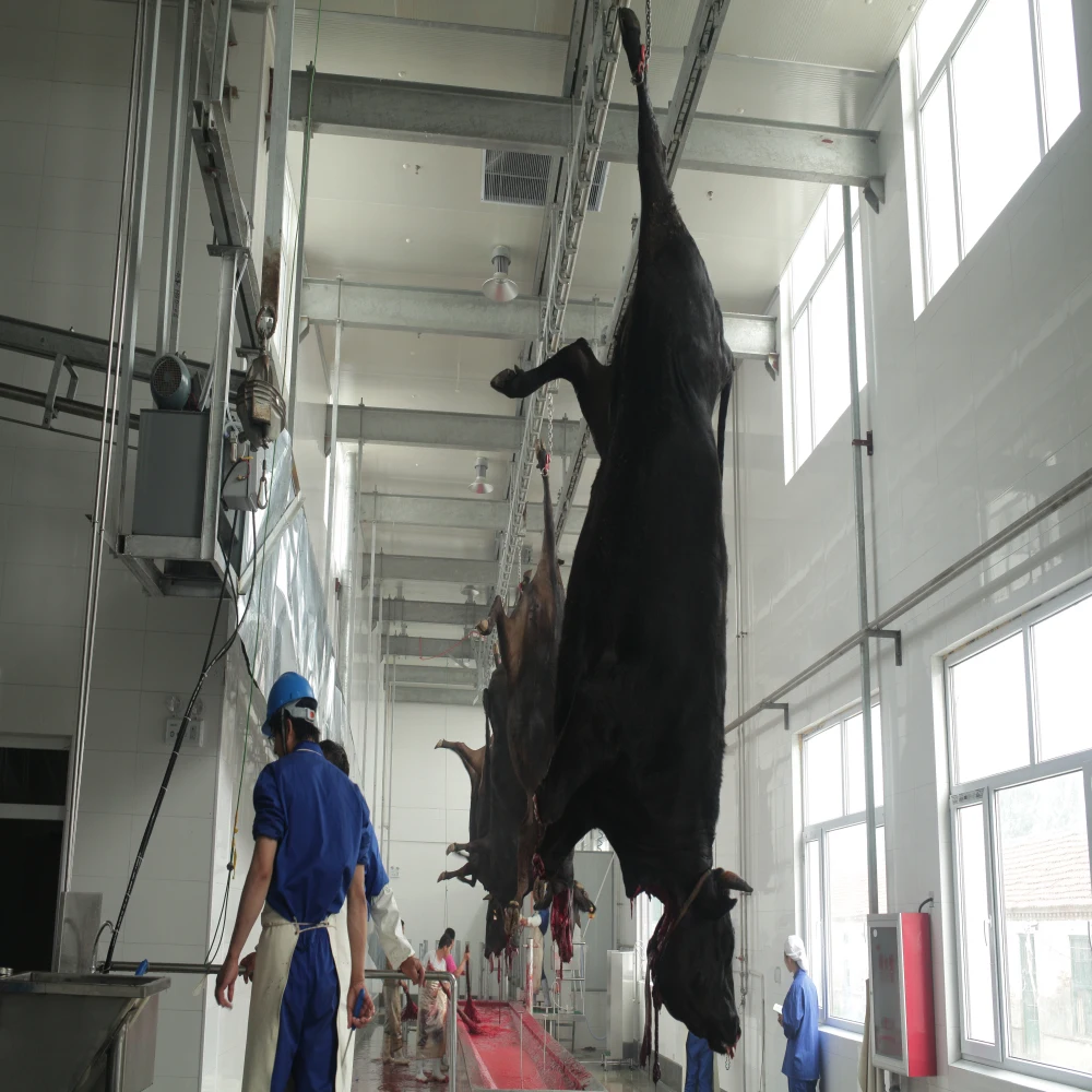 Meat processing equipment machines Abattoir slaughterhouse cattle and pig slaughtering line