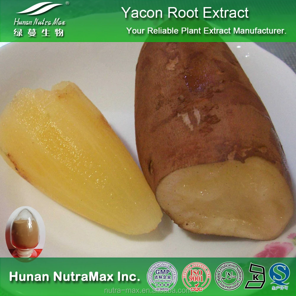 Yacon Root Extract, Yacon Root Extract Powder, Yacon Root P.E.
