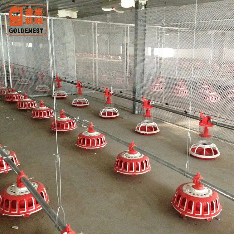 Высококачественное оборудование для птицеводства автоматическая кормушка бройлеров и