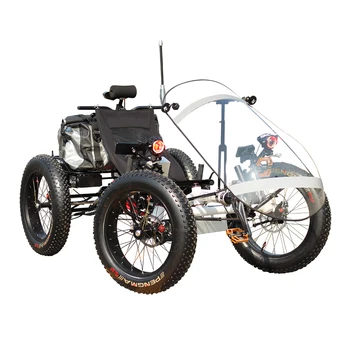 fat tire recumbent trike for sale