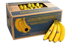 Custom banana fruit carton boxes for fruit packing