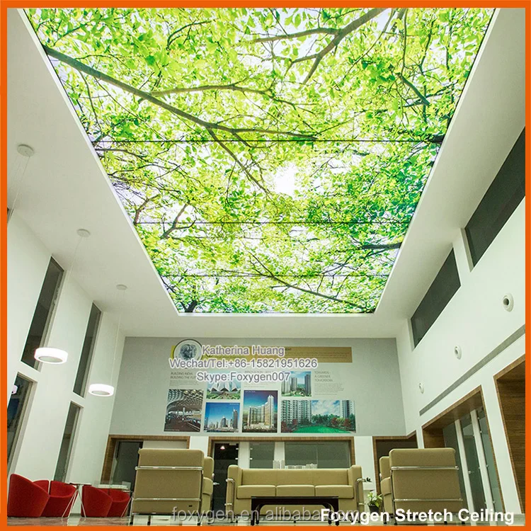 Nature Pop False Pvc Stretch Ceiling Design for Interior Decoration